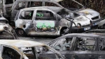 В новогоднюю ночь во Франции сгорело около 1200 автомобилей